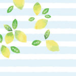 MN-0013 Lemon Candy