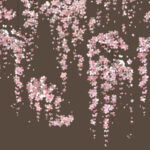 舞い散る桜のガラスフィルム