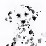 水墨画で描かれた犬のデザイン